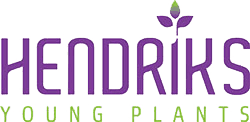 Hendriks Young Plants logo